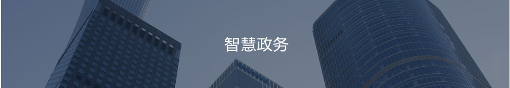 智慧政務(wù)